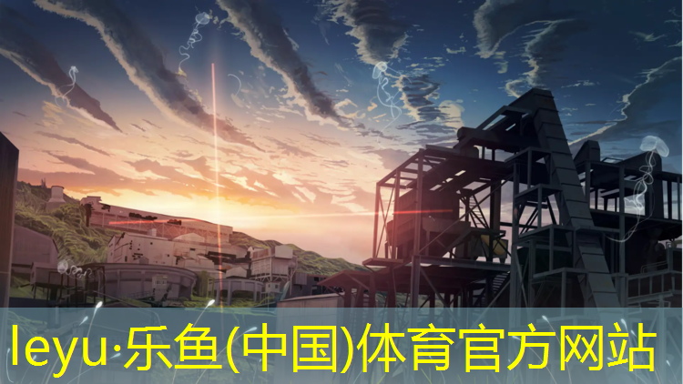 乐鱼体育,双人室内健身运动