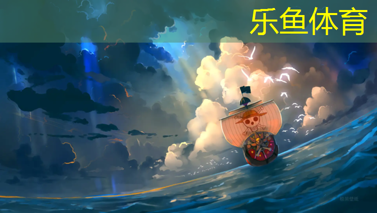 乐鱼体育,莱芜环保塑胶跑道造价多少